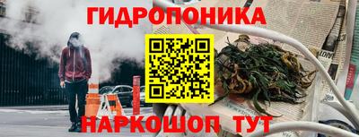 индика Дмитров