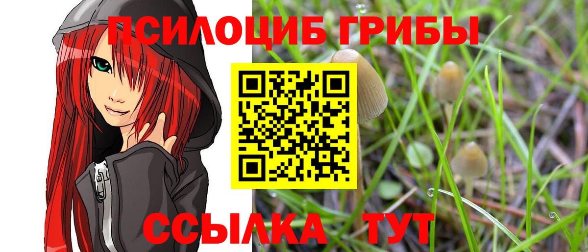 Галлюциногенные грибы Magic Shrooms Гуково