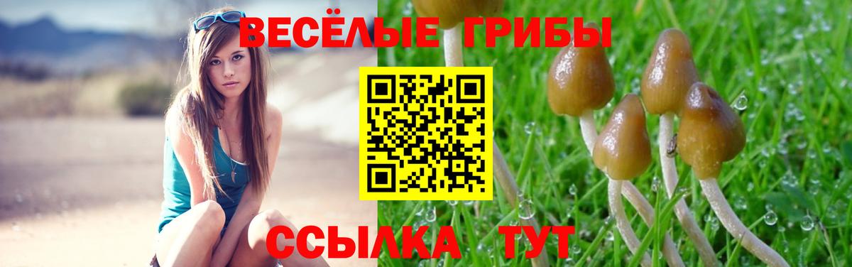 Галлюциногенные грибы Psilocybe  Псилоцибиновые грибы Magic Shrooms  Гуково  Вход с VPN 